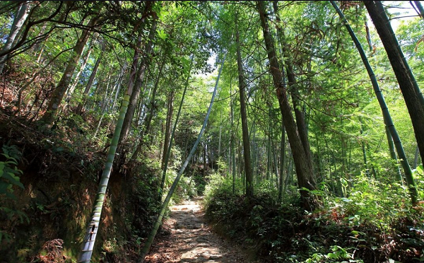 井岡山愛國主義和革命傳統(tǒng)專題教育的黨員活動(dòng)